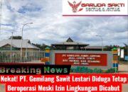 Nekat! PT. Gemilang Sawit Lestari Diduga Tetap Beroperasi Meski Izin Lingkungan Dicabut