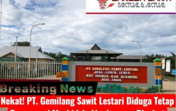 Nekat! PT. Gemilang Sawit Lestari Diduga Tetap Beroperasi Meski Izin Lingkungan Dicabut