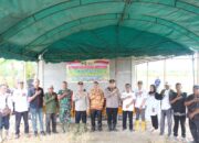 Kapolres Rohil AKBP Isa Imam Syahroni Pimpin Panen Raya Jagung Serentak Kuartal III di Kecamatan Pekaitan