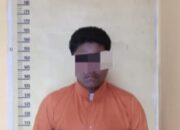 Polsek Tapung Hilir Tangkap Pemuda Nekat Cabuli Balita 5 Tahun