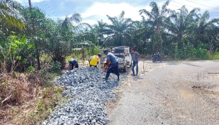 GOTONG ROYONG PERBAIKI JALAN RUSAK, PEMERINTAH DAN MASYARAKAT SEKELADI HILIR BERSATU WUJUDKAN AKSES LEBIH BAIK