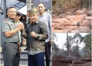Perambahan Hutan XIII Koto Kampar Diduga Kebal Hukum – LBLK Kampar Mengamuk, Publik Menggigil: “Jangan Tunggu PLTA Roboh!