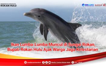 Pesut Mahakam Muncul di Sungai Rokan, Bupati Rokan Hulu Ajak Warga Jaga Kelestariannya