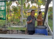 Kades Husain Abdullah Ajak Warga Hayahaya Ikut Program Sunting: Swasembada via BSF, Pisang, dan Ribuan Ekor Ayam-Itik-Lele