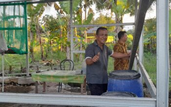 Kades Husain Abdullah Ajak Warga Hayahaya Ikut Program Sunting: Swasembada via BSF, Pisang, dan Ribuan Ekor Ayam-Itik-Lele