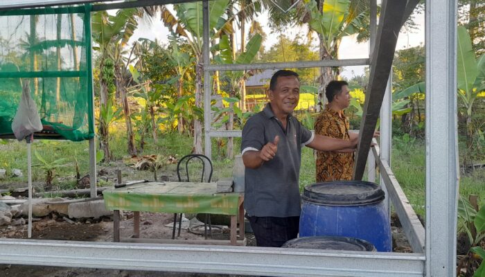 Kades Husain Abdullah Ajak Warga Hayahaya Ikut Program Sunting: Swasembada via BSF, Pisang, dan Ribuan Ekor Ayam-Itik-Lele