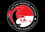 Sapu Bersih Pengedar Narkoba Di Kepenuhan Hulu, Satresnarkoba Polres Rokan Hulu Kembali Tangkap Seorang Pengedar