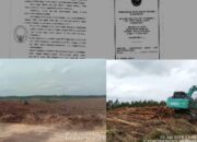 Diduga Abaikan Putusan MA, Aktivitas Penebangan PT Arara Abadi Masih Berlangsung di Lahan Adat Batin Sengeri