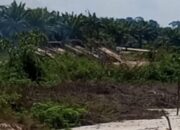Diduga Kebal Hukum, PETI di Desa Sitiang Terus Merusak Sungai dan Hutan Kuansing