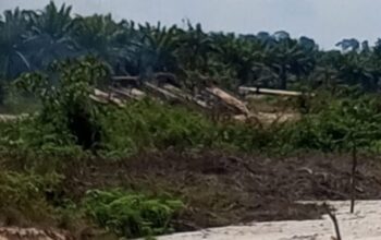 Diduga Kebal Hukum, PETI di Desa Sitiang Terus Merusak Sungai dan Hutan Kuansing