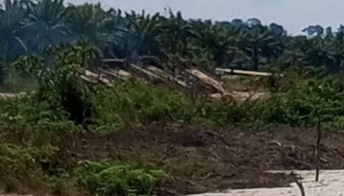 Diduga Kebal Hukum, PETI di Desa Sitiang Terus Merusak Sungai dan Hutan Kuansing