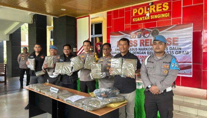 Polres Kuansing Bongkar Jaringan Ganja Antar Kabupaten, 22,5 Kilogram Ganja Kering Diamankan