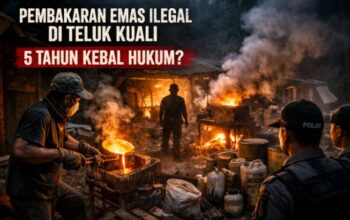 Lima Tahun Tak Tersentuh, Aktivitas Pembakaran Emas Ilegal di Teluk Kuali Diduga Kebal Hukum