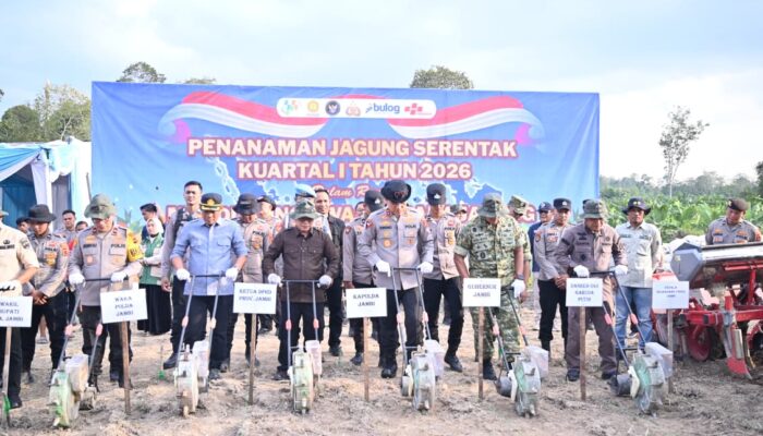 Dukung Ketahanan Pangan Nasional, Polda Jambi Gelar Tanam Jagung Raya Serentak Kuartal I Tahun 2026