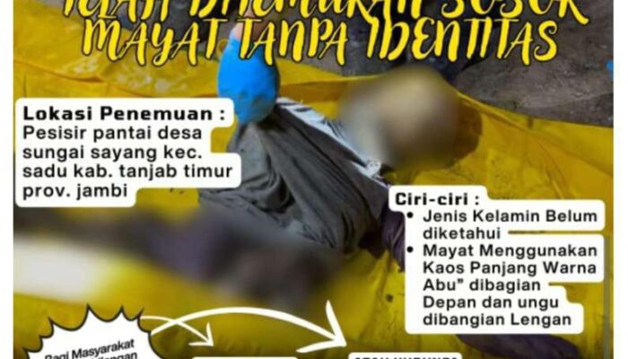 Penemuan Tengkorak Mr.X Dipesisir Pantai Sadu, Yang Kehilangan Hubungi Polres Tanjab Timur, Ini Cirinya