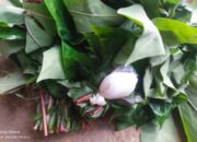 Teror Racun Putas di Teratak Domo! Racun Ditemukan Warga, Diduga Ada Bisnis Gelap Bangkai Ternak.