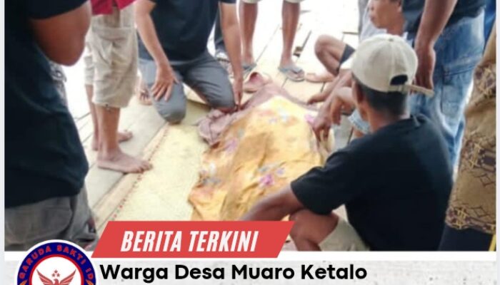 Warga Desa Muaro Ketalo Tenggelam Di Sungai Batanghari Telah Ditemukan Di Hari Ke-2 Di Aliran Muaro Sungai landai