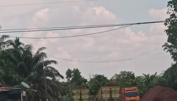 Diduga Gudang Cangkang Ilegal di Sebangar, Truk Hilir Mudik—Aparat Jangan Sekadar Jadi Penonton