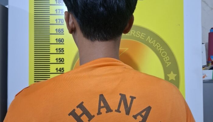 Tim Elang Kuantan Sat Resnarkoba Polres Kuantan Singingi Bekuk Pengedar Sabu dan Ganja di Pasir Emas, Satu Pelaku Diamankan