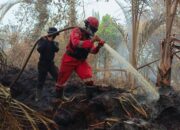 Strategi Pukul Kepala Api: Tim Gabungan Redam Amuk Karhutla di Bengkalis
