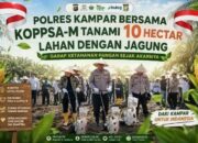 Polres Kampar Bersama Koppsa-m Tanami 10 Hectar Lahan Dengan Jagung, Garap Ketahtanan Pangan Sejak Akarnya