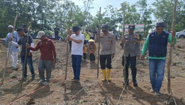Polsek Tambusai Dukung Program Ketahanan Pangan Prabowo, “Tanam Jagung di Desa Talikumain”