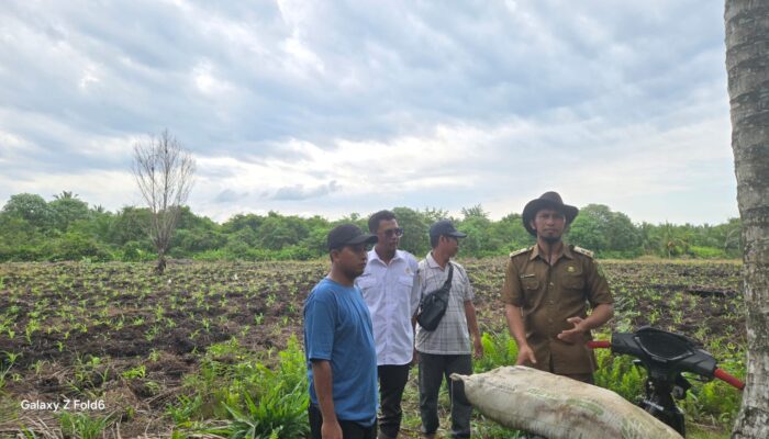 Masyarakat Griya Mukti Jaya Lakukan Pemupukan Lahan Jagung, Dukung Ketahanan Pangan Bersama Polri