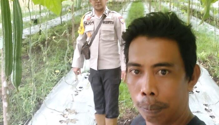 Bhabinkamtibmas Teluk Belengkong Sambangi Pekarangan Warga Tanam Gambas, Dukung Program Asta Cita Ketahanan Pangan Nasional