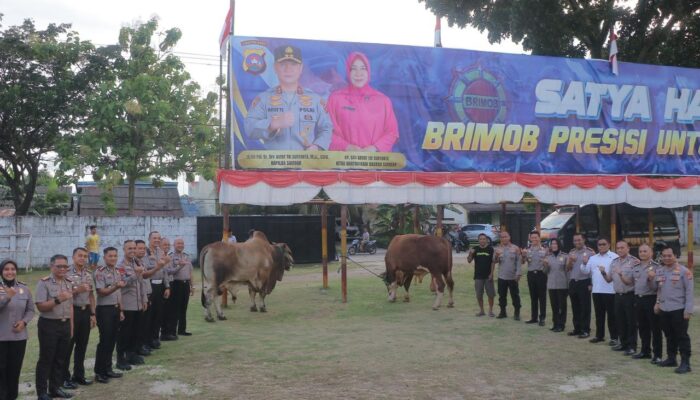 Kapolda Sumbar Pimpin Penyaluran 49 Ekor Sapi dan 8 Kambing Kurban, SDM Polda Sumbar Hadir untuk Masyarakat “Pastikan Kegiatan Berjalan Sukses”