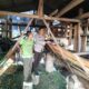 Bhabinkamtibmas Polsek Kelayang Sambangi Peternakan Kambing Warga, Dukung Ketahanan Pangan Nasional
