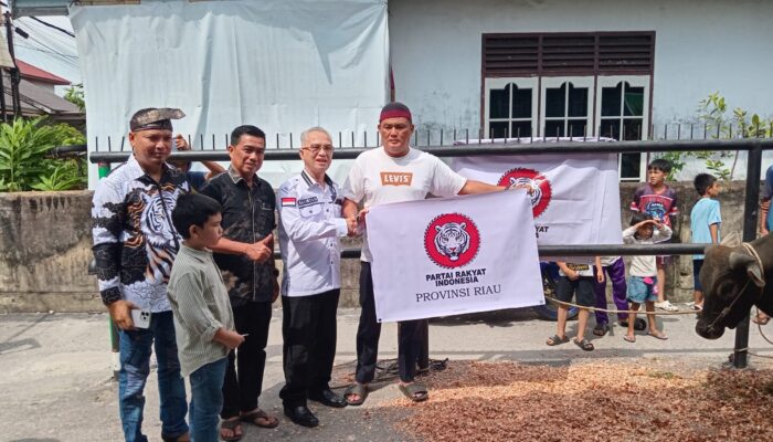 Dekat dengan Rakyat, DPD PRI Riau Salurkan Bantuan Sapi Kurban di Pekanbaru