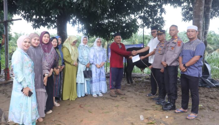 Polres Muaro Jambi Sediakan 6 Ekor Sapi Kurban, Dagingnya Dibagikan ke Masyarakat dan Lembaga