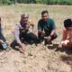 Polisi Cinta Petani, Polsek Rokan IV Koto Optimalkan Pendampingan dalam Penguatan Ketahanan Pangan Nasional di Desa Suligi