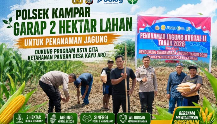 Polsek Kampar Garap 2 Hectar Lahan Untuk Penanaman Jagung, Dukung Program Asta Cita Ketahanan Pangan Desa Kayu Aro