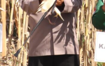 Polres Pohuwato Terlibat dalam Panen Jagung 36 Polda, Dukung Produksi 743.000 Ton Nasional