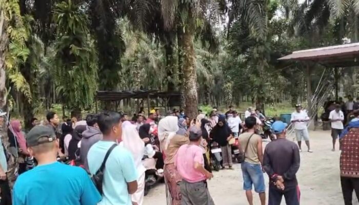 Diduga Kuasai Ratusan Hektare Lahan di Luar HGU, Warga Kota Garo Gelar Aksi Damai di PT Sekar Bumi Alam Lestari