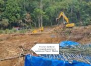 IMA MADINA PKU DESAK POLDA SUMUT TANGKAP DAN HENTIKAN PARA MAFIA PETI DI PERBATASAN TAPSEL -MADINA TERMASUK DUGAAN KETERLIBATAN ORMAS