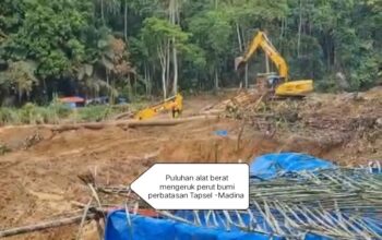 IMA MADINA PKU DESAK POLDA SUMUT TANGKAP DAN HENTIKAN PARA MAFIA PETI DI PERBATASAN TAPSEL -MADINA TERMASUK DUGAAN KETERLIBATAN ORMAS
