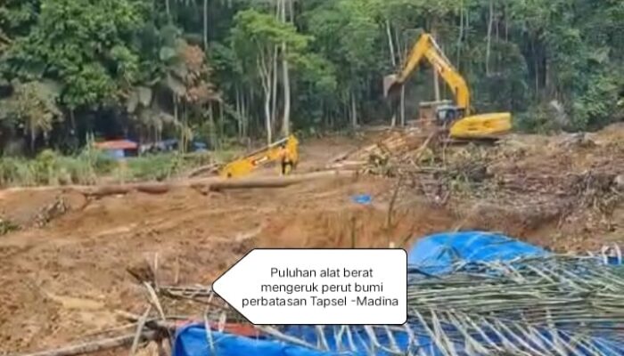 IMA MADINA PKU DESAK POLDA SUMUT TANGKAP DAN HENTIKAN PARA MAFIA PETI DI PERBATASAN TAPSEL -MADINA TERMASUK DUGAAN KETERLIBATAN ORMAS