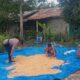 BHABINKAMTIBMAS POLSEK BATU HAMPAR MONITOR PENGERINGAN JAGUNG PIPIL HASIL PANEN PROGRAM KETAHAN PANGAN DI SUNGAI SIALANG