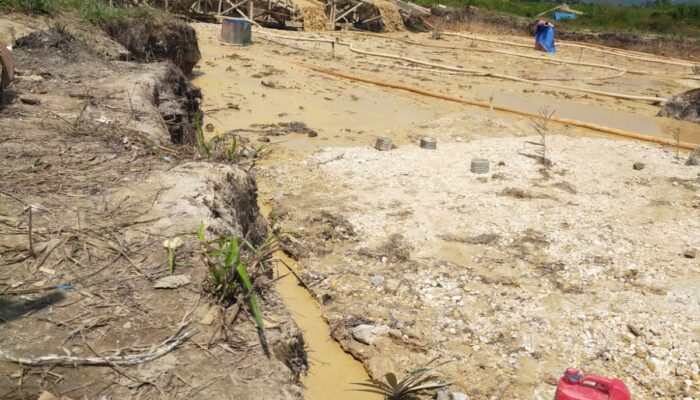 KAWASAN HGU PT KTBM KEMBALI SOROTAN: SEKITAR 150 UNIT DOMPENG, NAMA ADIK OKNUM KADES, DAN CARLES IKUT TERLIBAT