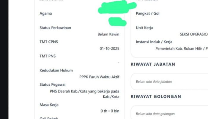 P3K PARUH WAKTU: GAJI DARI PUSAT Rp1.500.000, TAPI YANG DITERIMA HANYA Rp1.000.000, SUDAH BERLANGSUNG 4 BULAN