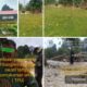 Sibuan Pengendali Tambang Emas Ilegal di Atas Lahan TPU Muara Lembu Arogan, Mengaku Aman Diduga Sudah “Setor” Tiap Bulan ke Aparat