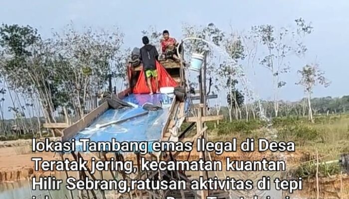 Bigboss Hendri Pengendali PETI di Teratak Jering, Akui Setor Ke Polres Kuansing! Kerjaan Aman Terkendali