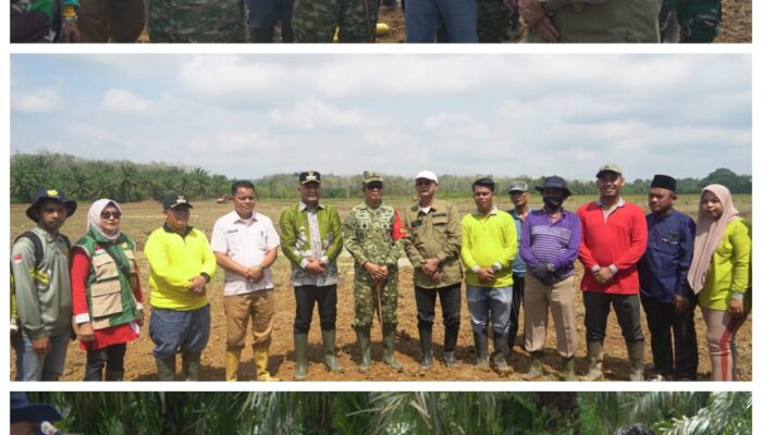 Pastikan Percepatan Program Ketahanan Pangan, Danrem 042/Gapu Brigjen TNI Nyamin Tinjau Cetak Sawah Rakyat Di Kabupaten Tebo