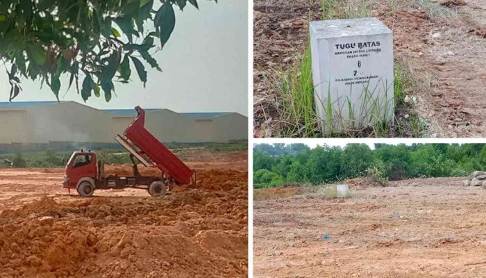 Diduga Hilang, Tugu Batas Hutan Lindung HL 24 Picu Sorotan atas Penimbunan Mangrove di Batam