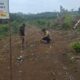 KAPOLSEK LOGAS TANAH DARAT CEK PERTUMBUHAN JAGUNG PIPIL DI DESA TERATAK RENDAH, DUKUNG SWASEMBADA PANGAN 2026