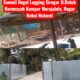 Sawmil Ilegal Logging Siregar Jl.Datuk Harunsyah Kampar Merajalela, Regar Kebal Hukum!