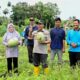 Wabup Bengkalis Panen Semangka Bersama Petani Milenial, Perkuat Sinergi Membangun Pertanian Modern