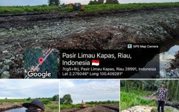 Dugaan Perambahan Kawasan Zona Hijau di Sungai Daun Jadi Sorotan, Media Desak Aparat Turun ke Lapangan
